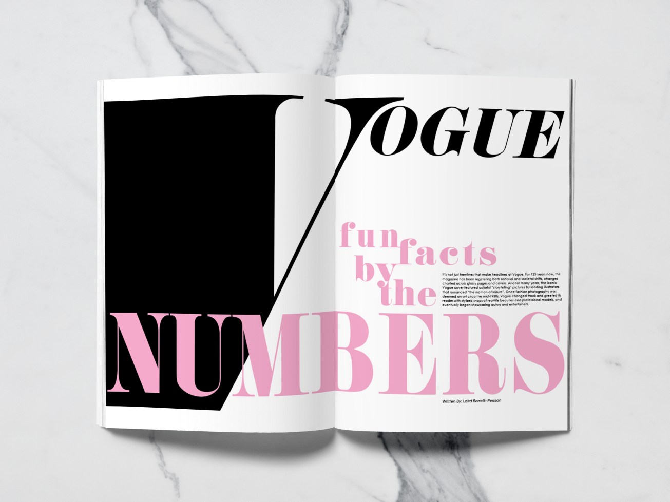 Vm zine cover mockup